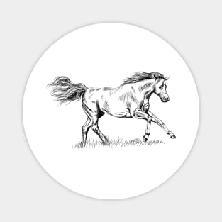 Horse print Magnet